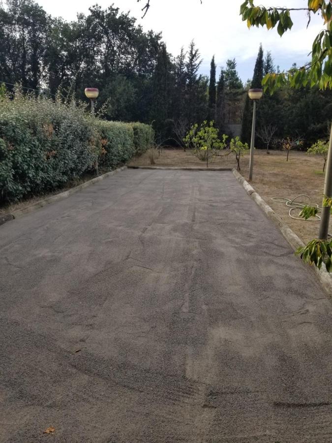 Au Mimosa -Gite Le Canigou Passa Exterior foto