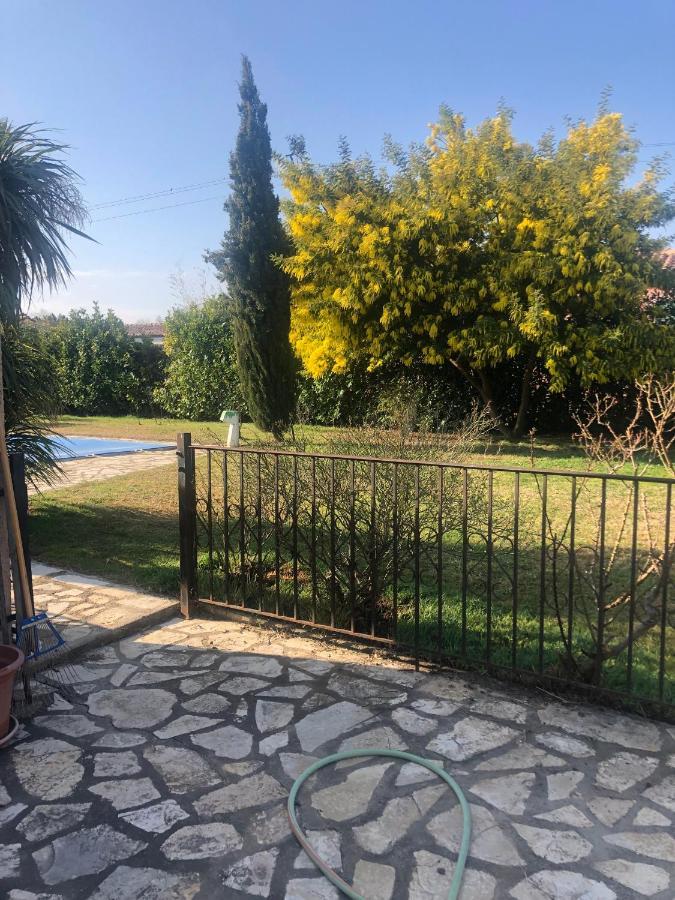 Au Mimosa -Gite Le Canigou Passa Exterior foto